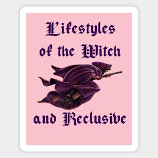 Lifestyles of the Witch and Reclusive Magnet